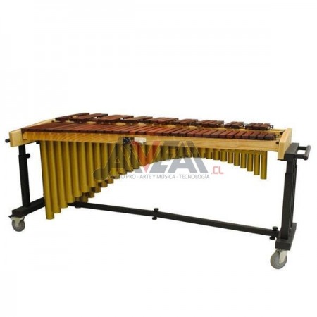 MARIMBA CONCERT USA TRIXON