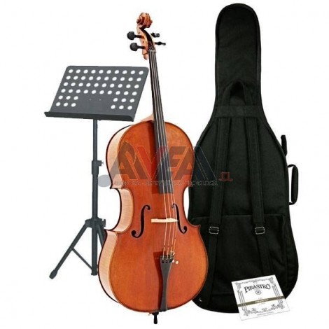 CELLO CONJUNTO AVANZADO VM-01CCA VIEJO MÚSICO