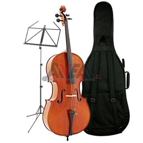 CELLO CONJUNTO BÁSICO VM-01CCB VIEJO MÚSICO