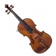 VIOLA 14” HVA-150 CERVINI