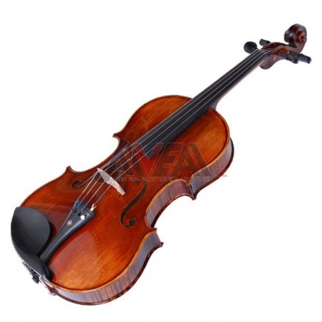 VIOLA 8066VA RS BERKELEY