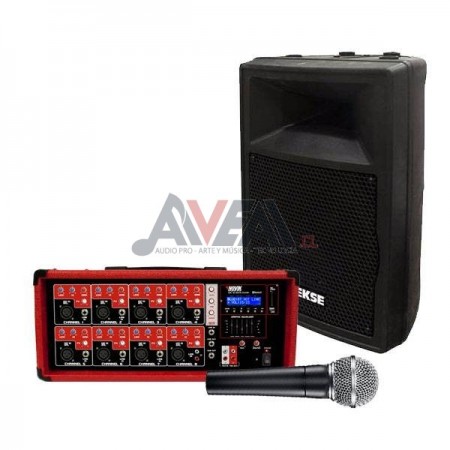 SET DE AMPLIFICACIÓN 3B-4